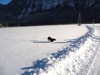 Landhaus-Alpenblick_Winter8